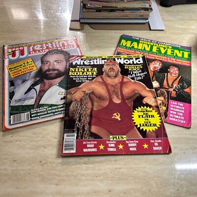 WWF WWE Wrestling World • Pro Illustrated • Main Event Hulk Hogan  Demolition Bro