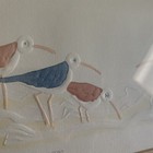 Picture 6 of 8