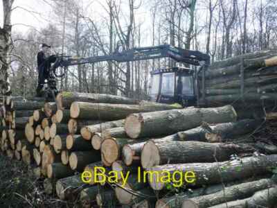 Photo 6x4 Moving the logs Clements End This chap was taking logs off the  c2008