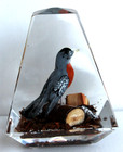Vintage Hand Carved Painted Wood Robin Lucite/Acrylic Unique Canada Paperweight — photo 3