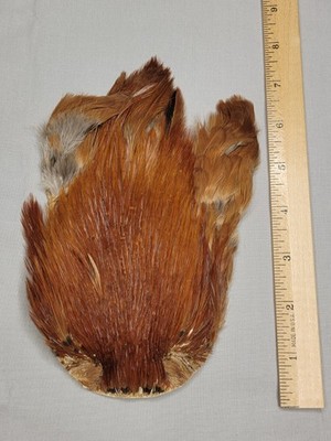 Lot 3,  Grade B,  Natural India Rooster Streamer Neck Cape Feathers