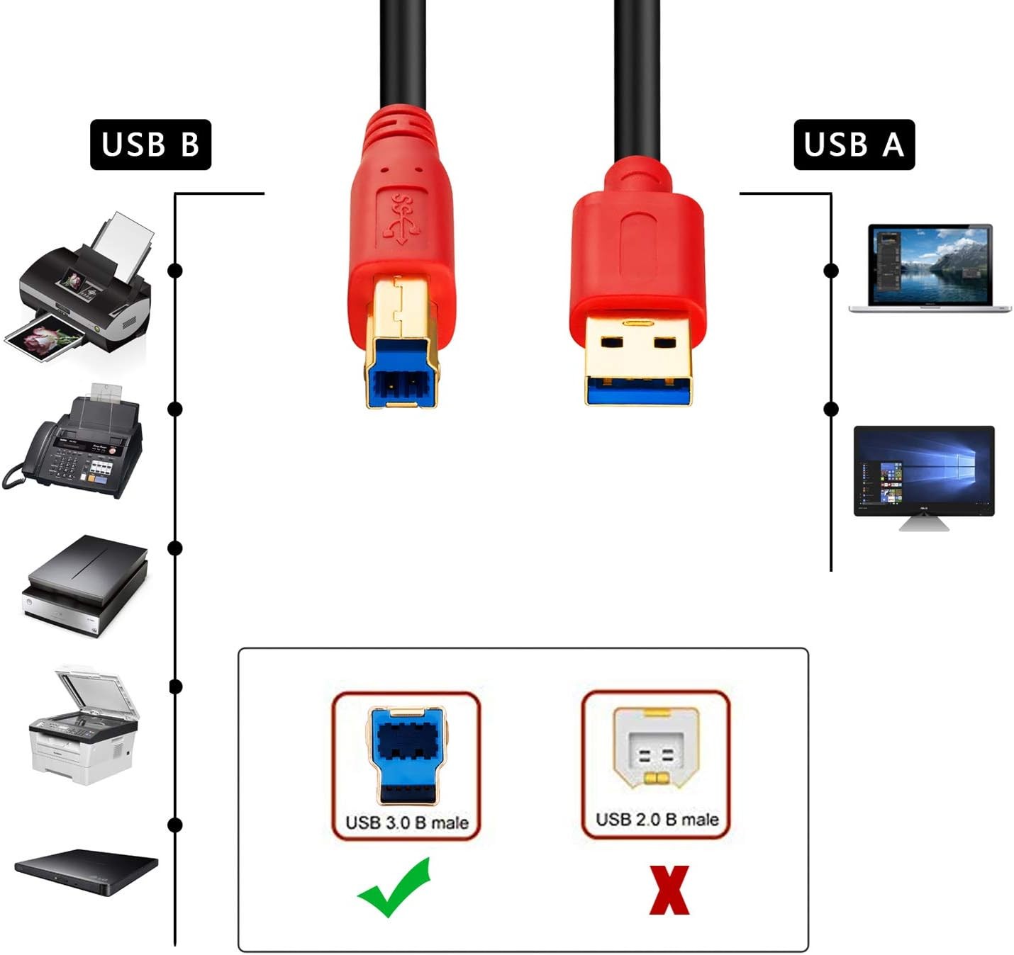 Tan QY USB 3.0 Cable A Male to B 1Ft, Type A B 0.3M/1Ft 