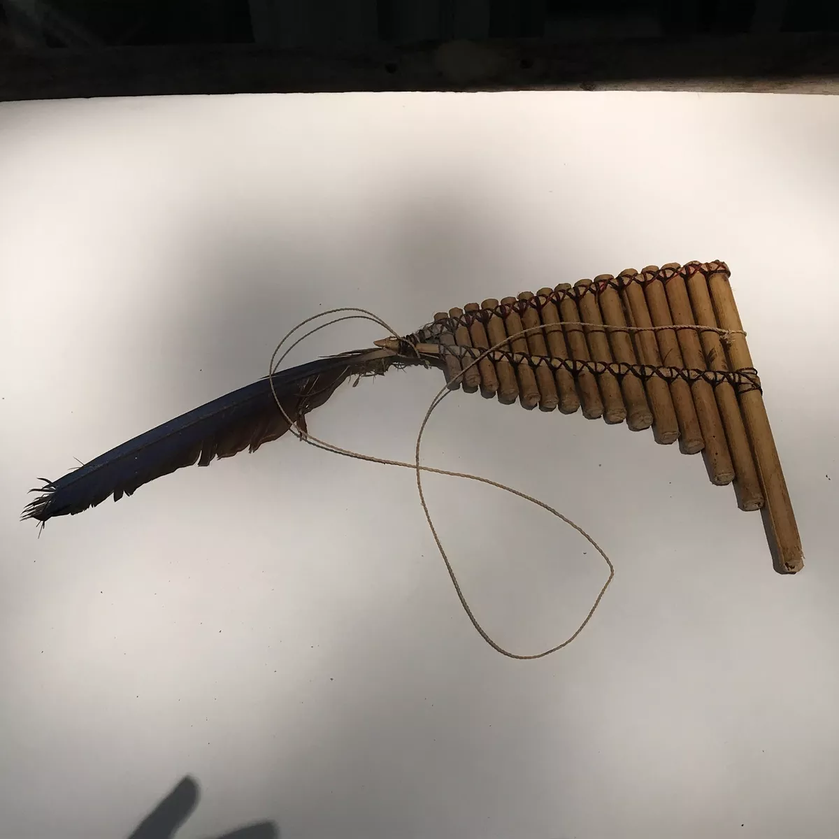 Native American Reed