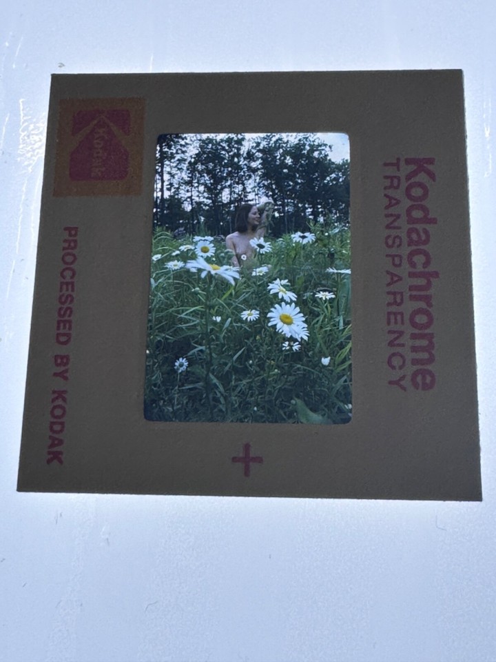 1970s Nude In Field Of Daisies Color Transparency | eBay