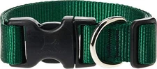 LupinePet Basics 1" Green 12-20" Adjustable Collar for Medium and Larger Dogs