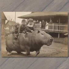 5x7"  Capybara Kids Riding Old School Vibe Weird Strange Funny Race Giant