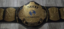 WWE Shop Official Winged Eagle Championship Replica Title Belt Adult Size