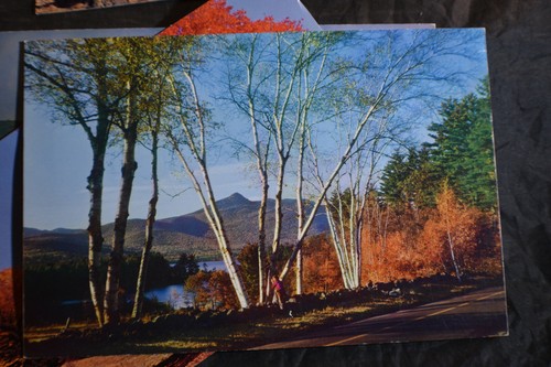 6 *LARGE* Vermont & New Hampshire Postcards - Picture 6 of 12