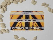 Beit Alpha Cucumber Seeds