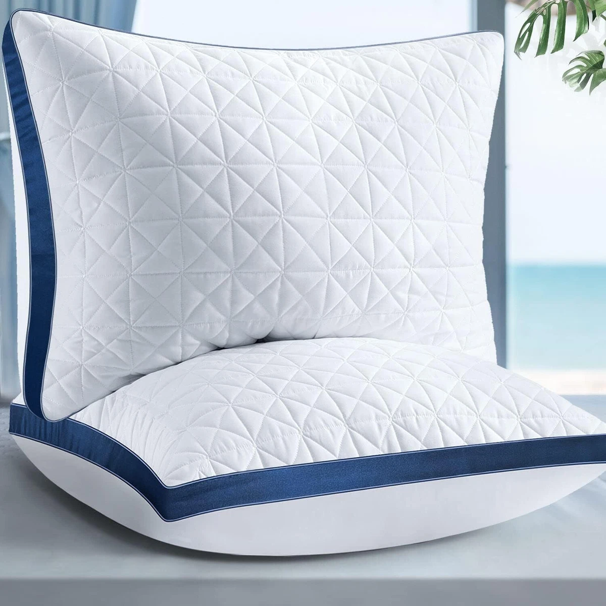 Tamaño de almohada queen sales
