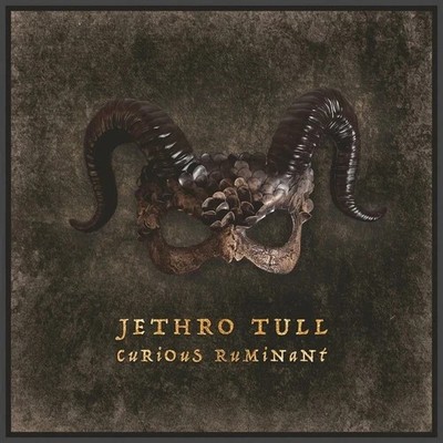 Jethro Tull   Curious Ruminant CD -  Twenty-Fourth Studio Album - Digipak
