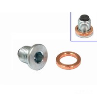 ÖLablassschraube Magnetisch M14X1.50 Mit Dichtring FüR Triumph Daytona 675 2013-