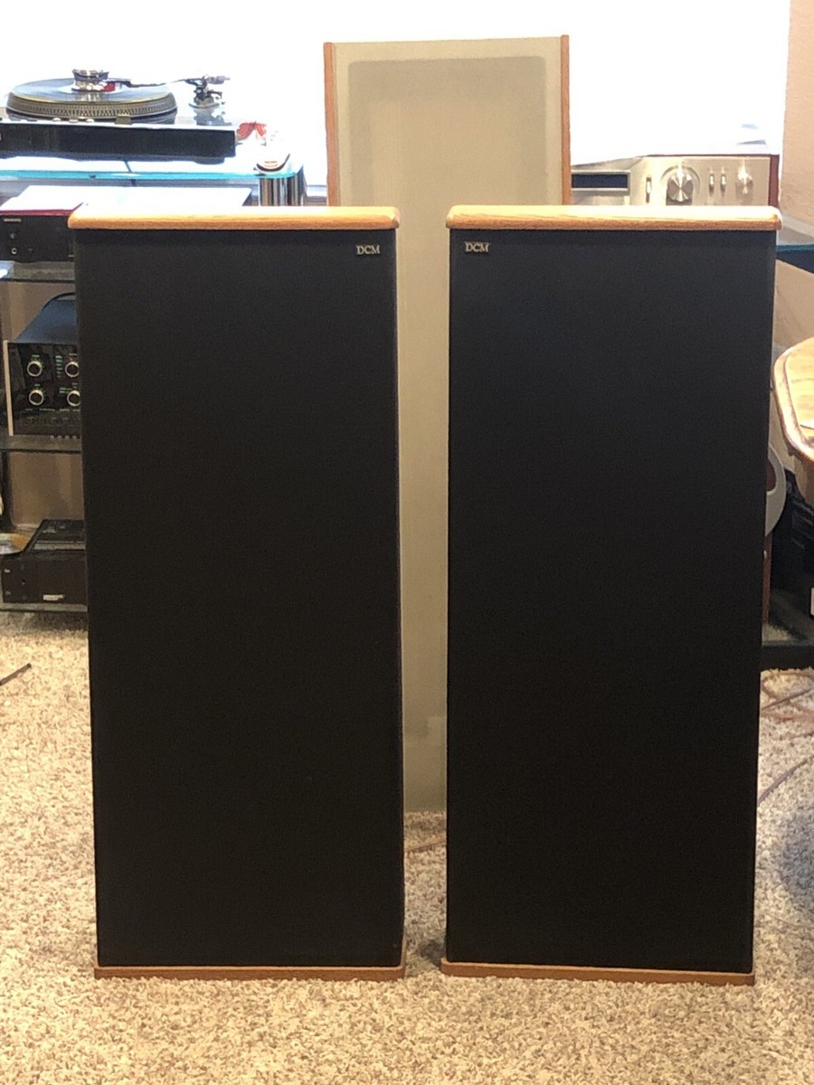 DCM Timeframe TF600 TF-600 Vintage Loud Speakers Unique Floor