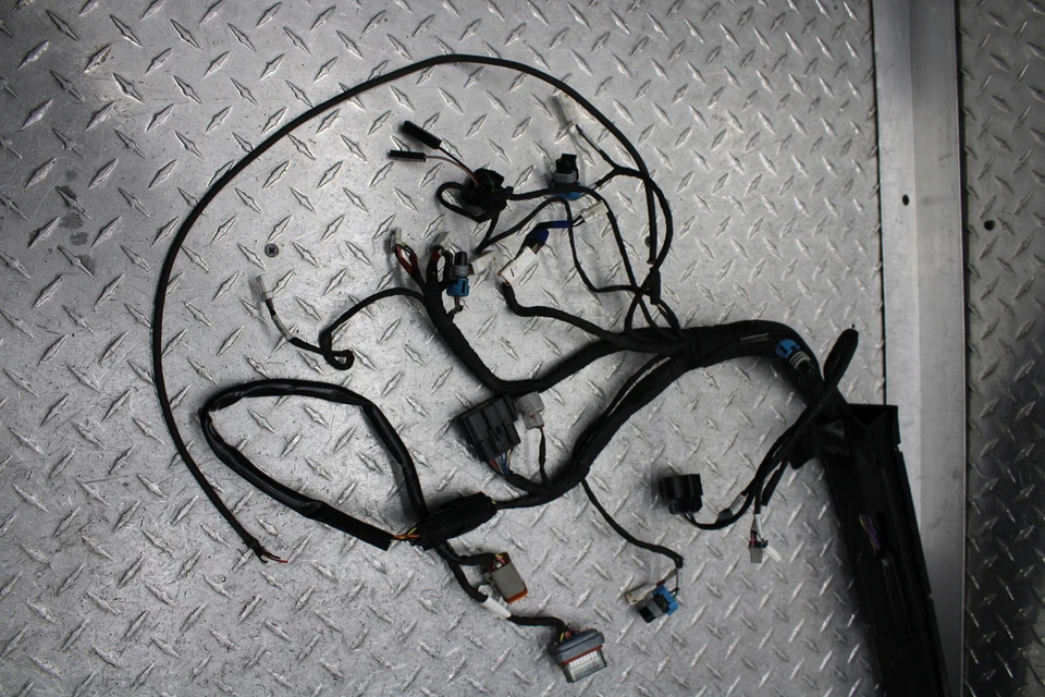 Indian Chief Classic 2015 arnés de cableado del motor principal (tiene video en funcionamiento) Foto 2 de 4