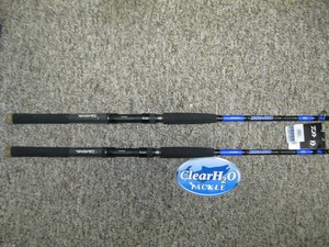 daiwa beefstick 10 ft