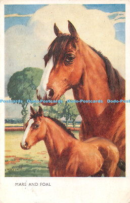 R338305 Stute und Fohlen J Lachs 1956