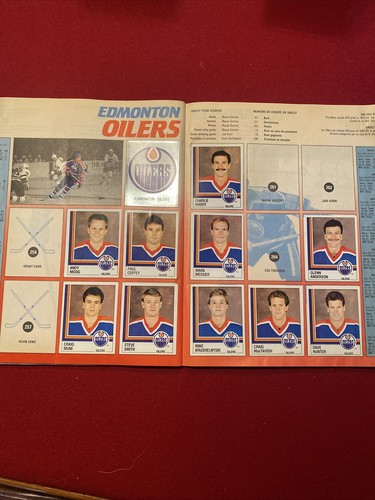 1987 Panini NHL Sticker Partial Set 300+/396 Album, Nice Gretzky, Roy, Lemieux - Picture 11 of 14