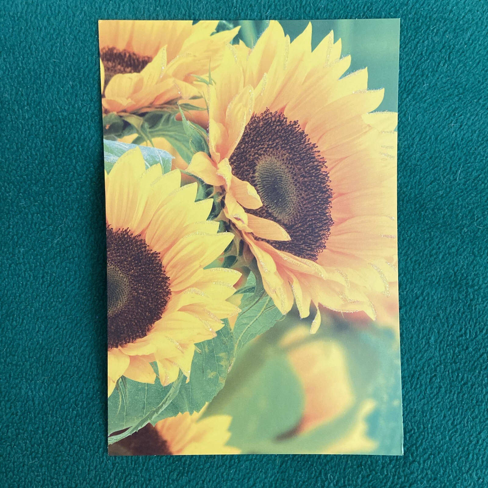 LIQUIDATINGHallmark Blank Greeting Card (Sunflowers) eBay