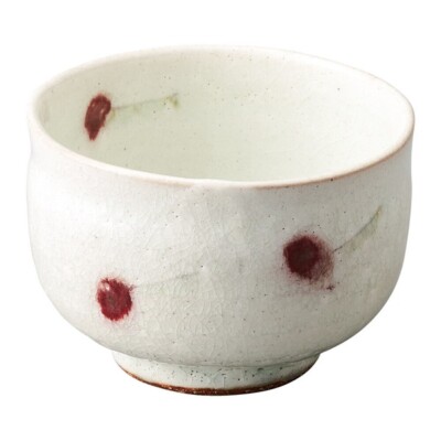 Shigaraki yaki ware Japanese pottery bowl Chawan Sakuranbo Cherry 