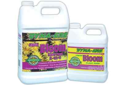 Dyna Gro Bloom