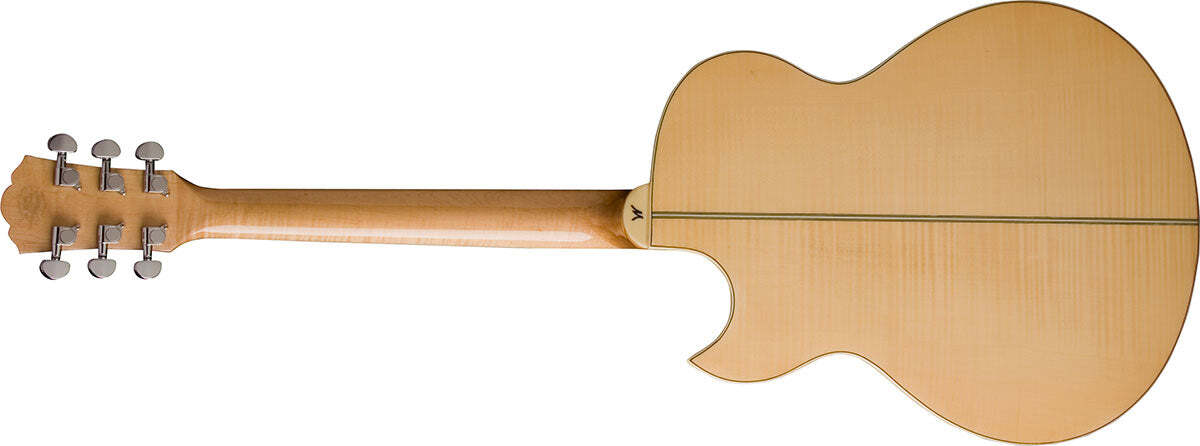 Washburn EA20 - Acoustic Electric Guitar | eBay