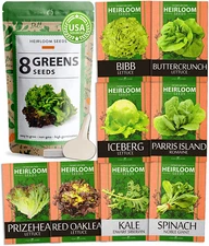 Lettuce & Salad Greens Seed Vault - 1200+ Non-Gmo Vegetable Seeds for Outdoors o