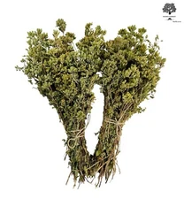 Greek Dried Mountain Oregano Bunch  | Harvest 2025 | Origanum VULGARE