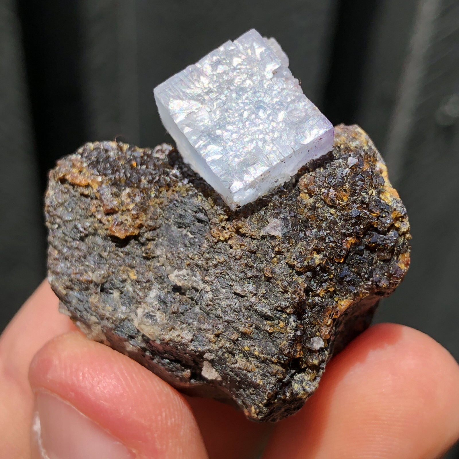 3.5cm Blue Fluorite on Sphalerite – Annabel Lee Mine, Illinois USA