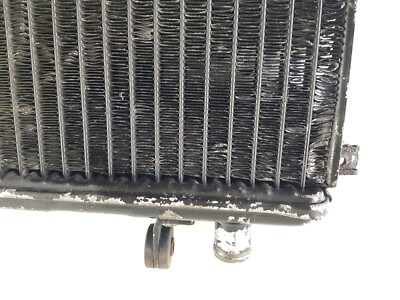 Radiateur D'Occasion Pour Yamaha TDR 250 / TDR 240 – Fonctionnel, Marques D'Usure