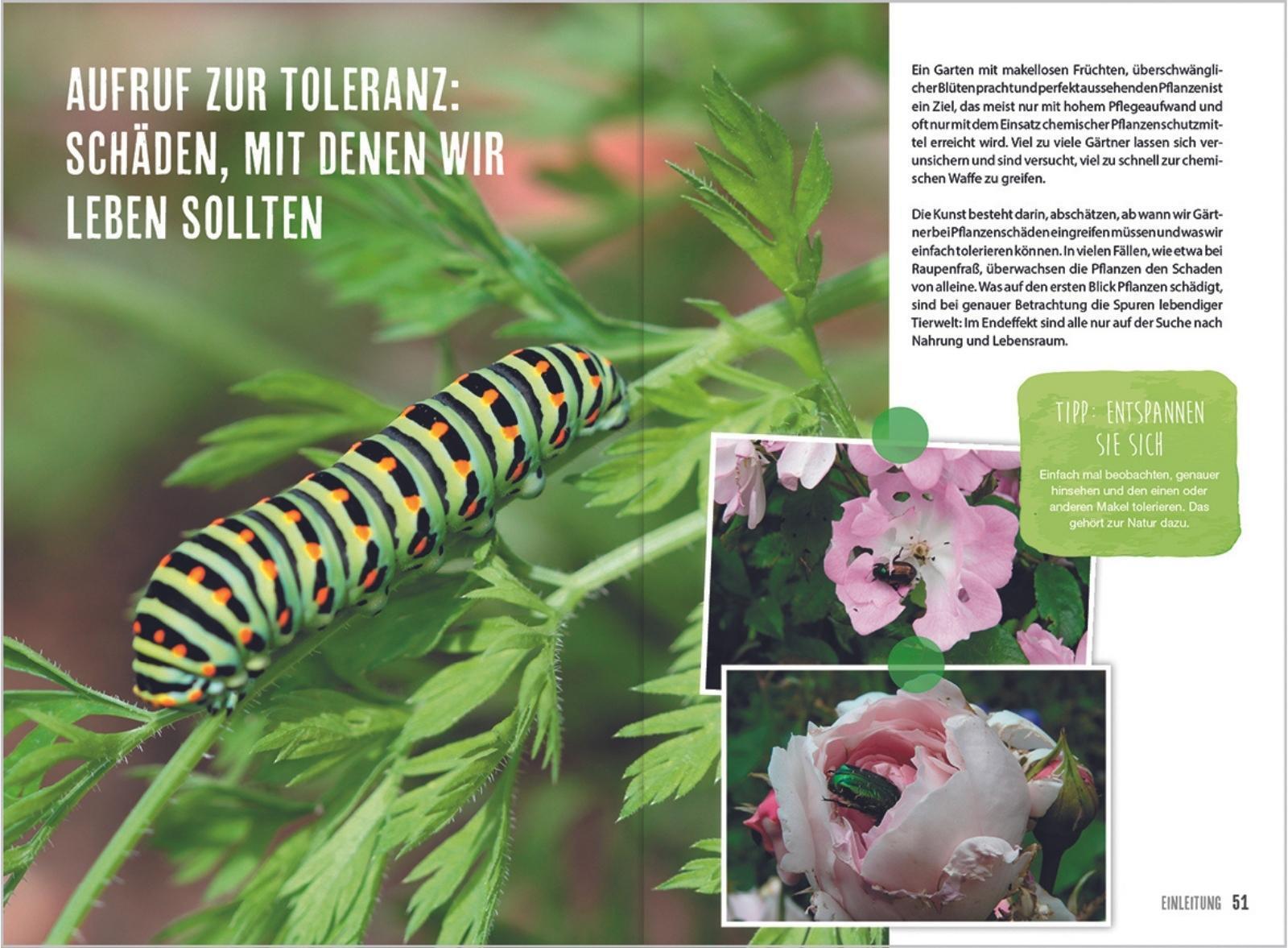 Thumbnail - Mdr Garten - Erfolgreich Gärtnern Ohne Gift Brigitte Goss