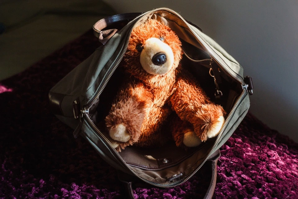 Maletín de lona/cuero Shinola Brakeman bolso para computadora portátil (esque Filson, sin correa) Foto 3 de 4