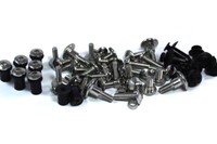 Yamaha Tzr 250 1991-1996 3XV Std Rs Verkleidung & Frontscheibe Bolts Wellnut Kit