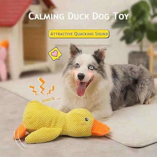 2025 Quackotto per Cani, Paperotto Calmante Quackotto, Quack Otto Gioco Cani, Pa - Foto 2 di 12