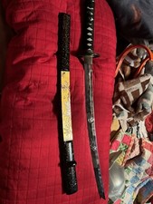 katana from epcot at disney world 
