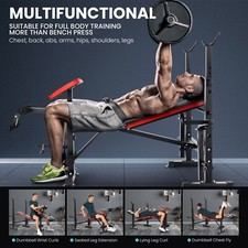 Olympic Weight Bench for Home Gym Strength Training Equipment with Preacher Curl