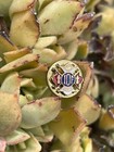 Vintage IOF Independent Order Of Foresters Pin — photo 7