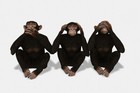 Three Monkeys Speak See and Hear No Evil Conceptual Art Print Poster 18x12
