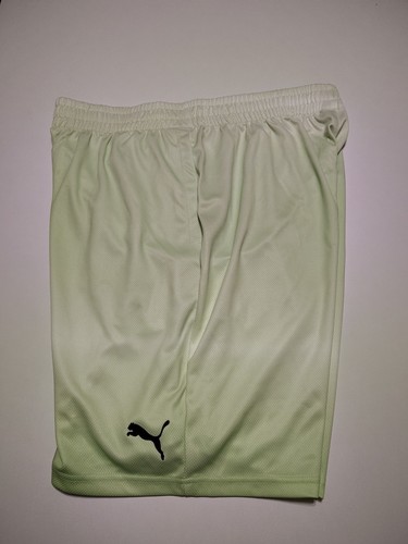 Puma Herren XL 10 Inch Shorts Grün C3 Neu - Bild 11 von 15