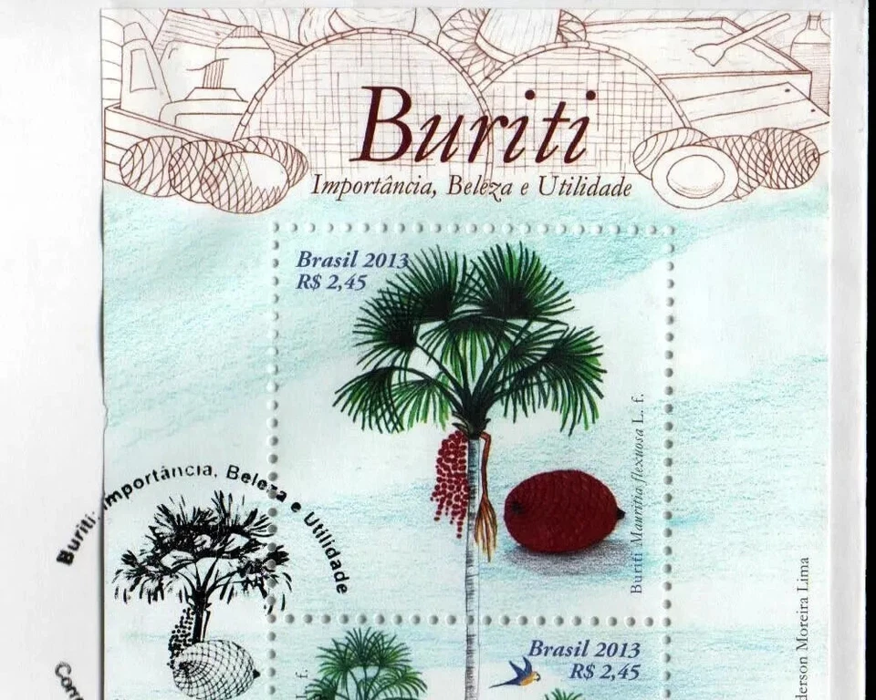 Buriti 2013 Brasil Frutas Palmeras 水果 фрукты ávextir फल Miche BL168, RHM B 178 Foto 3 de 4