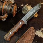 9.1" Collector Damascus Hunting Bush craft Full tang Knife+Wood Handle — photo 7