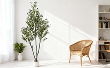 Ulivi Artificiali,Piante Artificiali con Tronco in Legno Naturale e Frutti Realistici