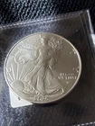 2025 (P) $1 American Silver Eagle Eagle Privy 1 oz .999 Fine Silver BU