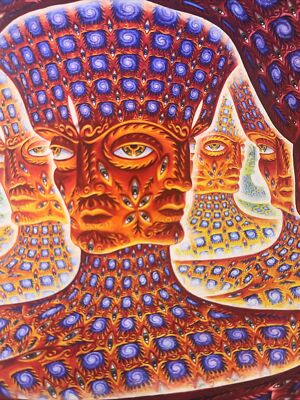 Alex Grey Net Of Being Tool Signed & Numbered Fine Art Print COA