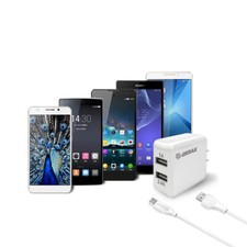12W 2.4A Dual USB Travel Wall charger With 5FT Micro USB Charging Cable In White