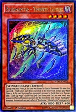 Raidraptor - Tribute Lanius WIRA-EN021