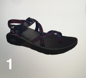 ebay chacos