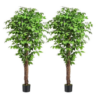 Keeplush 6.2ft Ficus Artificial Trees with 3 Natural Curved Trunks 74'' Tall L...