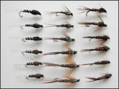 Fasanenschwanz Nymphe Forellenangeln Fliegen, 18 Standard, Pearly & Flash, 10 bis 14
