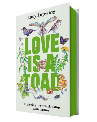 Love Is A Toad by Lucy Lapwing Green Sprayed Edge Hardback Book 1st Edition / P