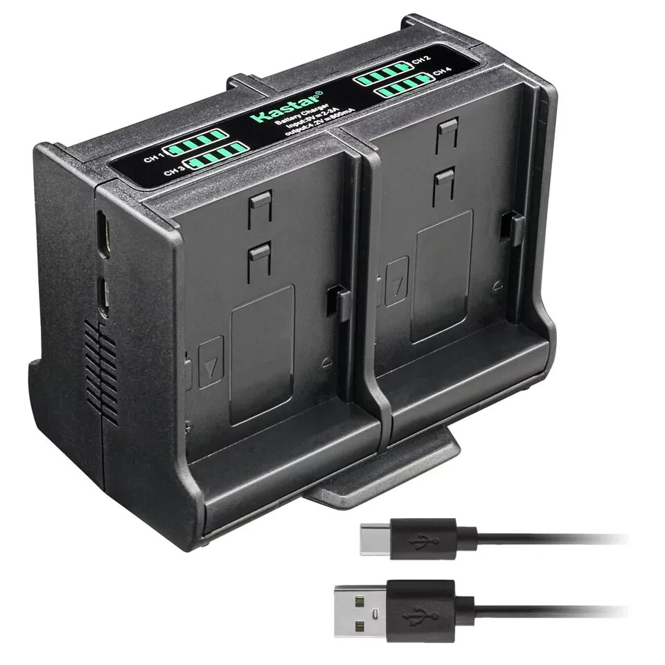 DSTE 2PCS NP-FT1 Batterie Ladegerät Copatible für Sony CyberShot DSC